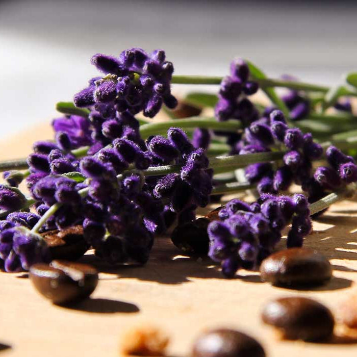 A brief history of aromatherapy