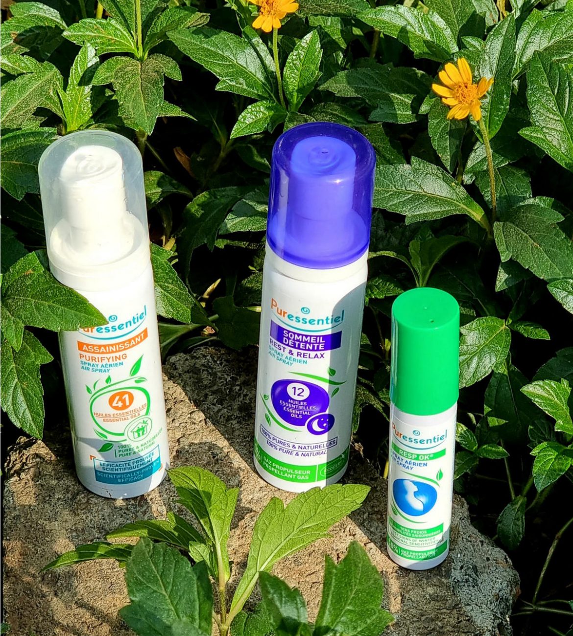 French Brand Puressentiel Comes To India With Natural, Vegan Aromatherapy Solution Sprays That Soothe, Care And Enrich Daily Life
